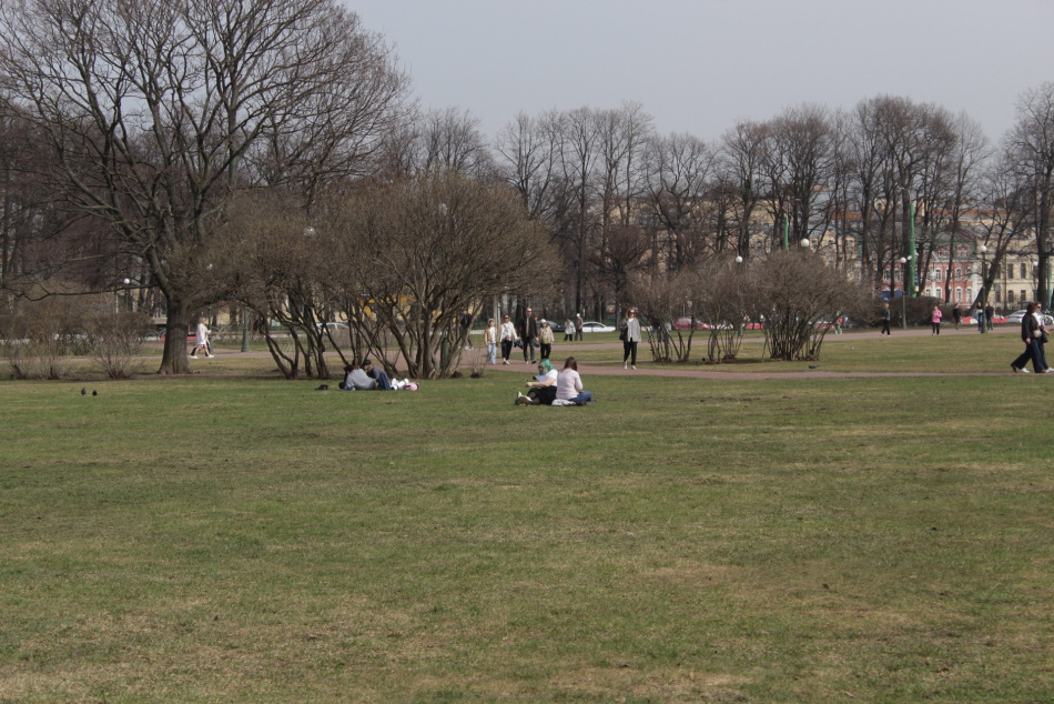 В Петербурге задержали двух мужчин за акт вандализма на Марсовом поле